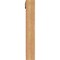 Ekena Millwork Westlake Traditional Smooth Bracket w/ Offset Brace, Western Red Cedar, 5 1/2"W x 28"D x 36"H BKT0604X28X36WTL01SWR - alternate 4